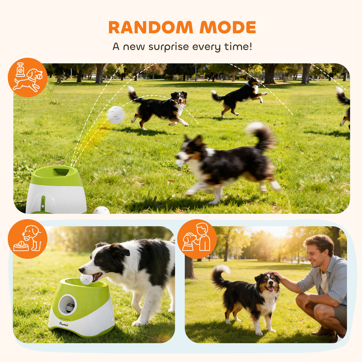 Automatic Dog Ball Launcher with 5 Balls