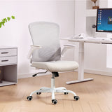 Ergonomic Mesh Office Chair with 4D Lumbar Support