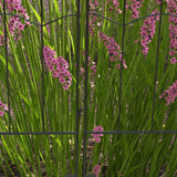 Valla decorativa para jardín — paquete de 4, barrera para animales