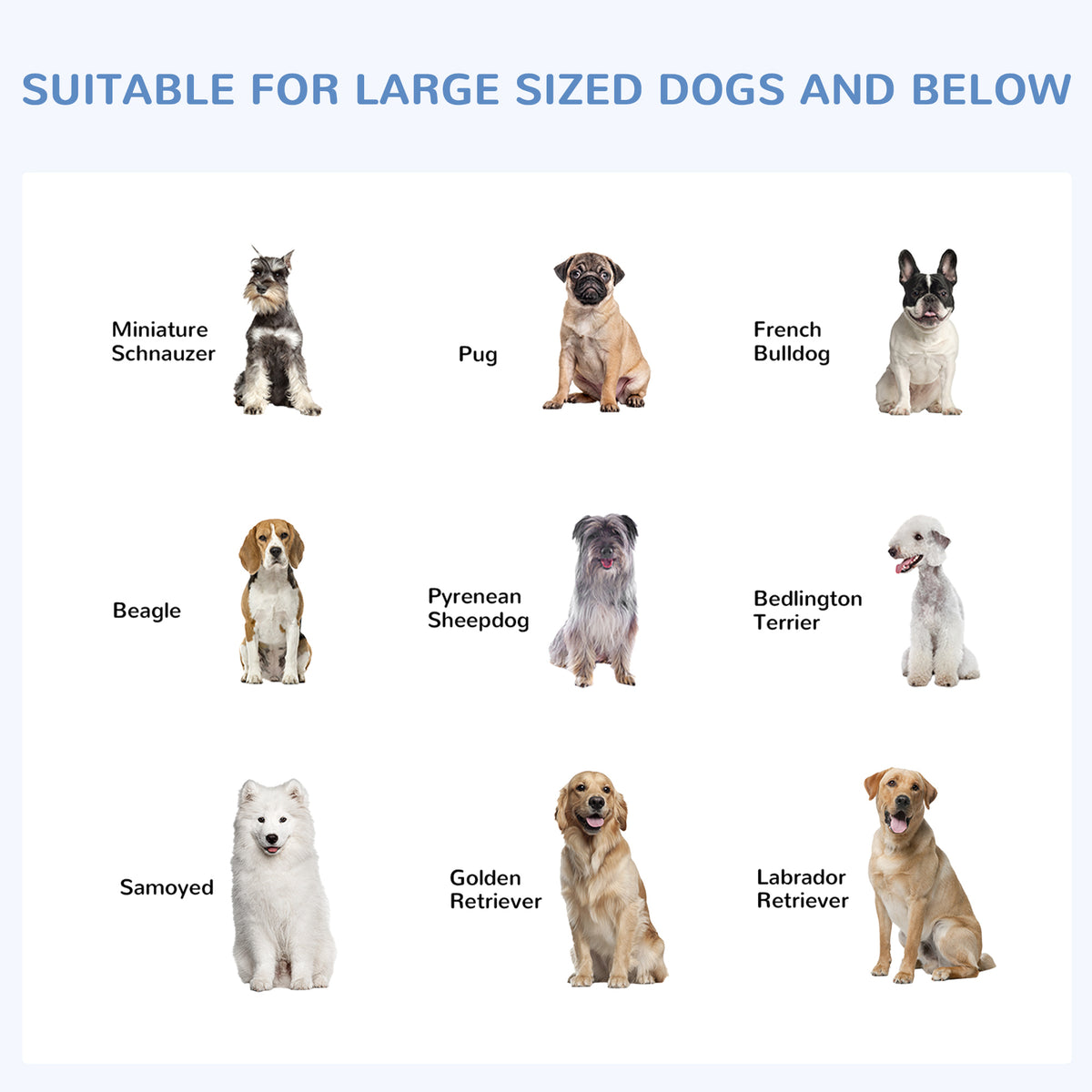 Corral exterior para perros con techo y valla metálica