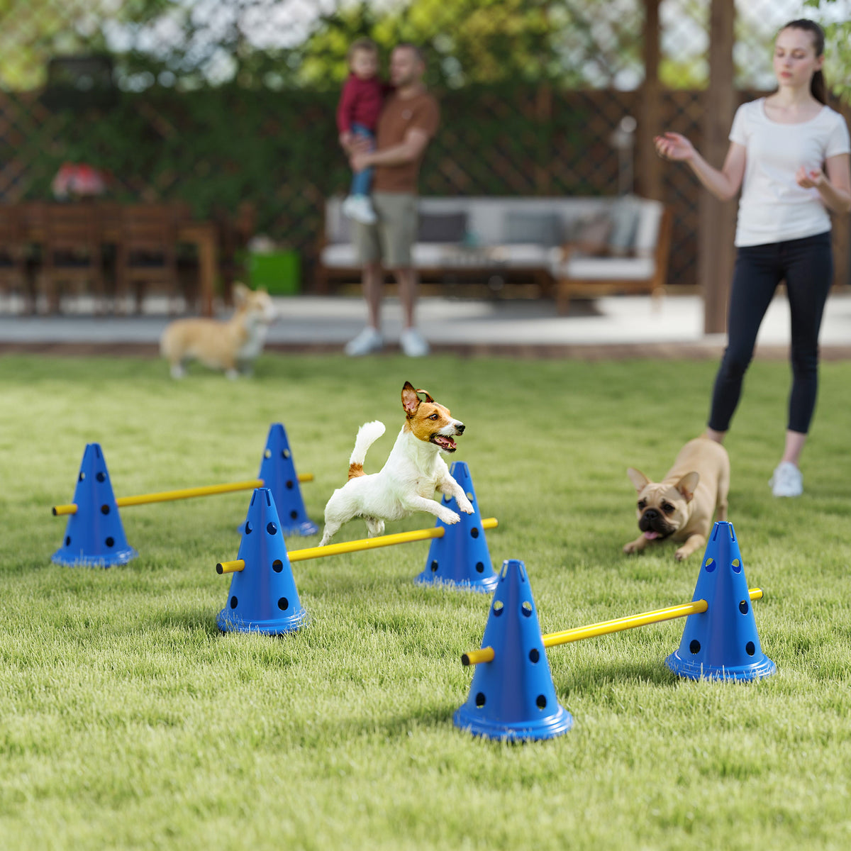 Set de agilidad para perros con conos y postes ajustables