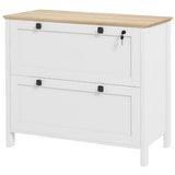 File Cabinet 2 Drawer Lockable with Adjustable Bar