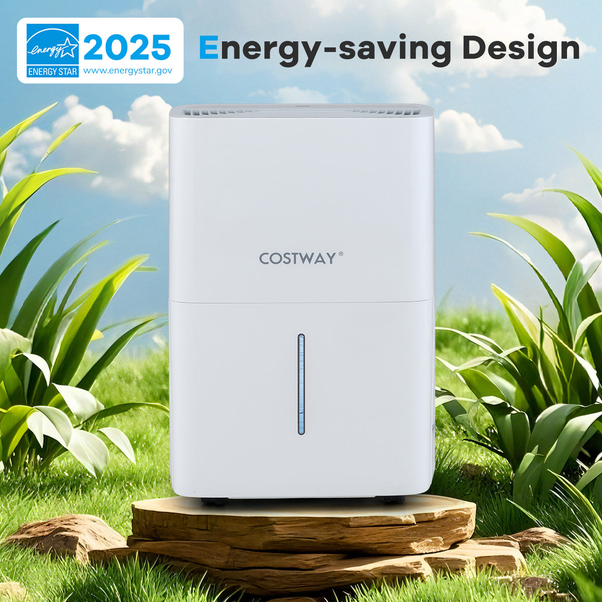 Déshumidificateur 31 litres avec minuterie 24 heures et affichage DEL