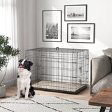 Folding Metal Dog Crate with Cushion