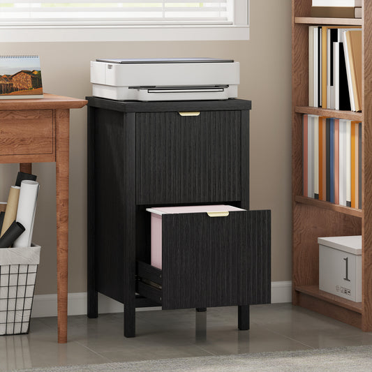 Modern 2 Drawer Vertical Filing Cabinet for Office