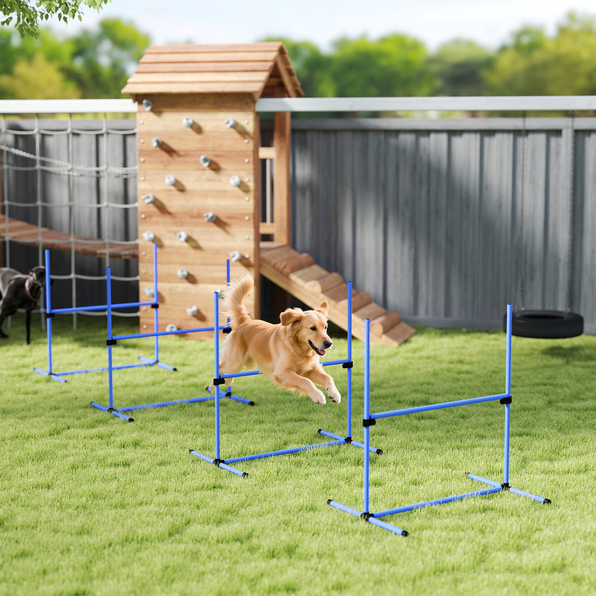 Juego de 4 vallas de agilidad ajustables para perros