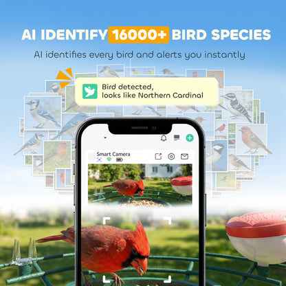 Comedero conectado para pájaros con cámara con IA solar