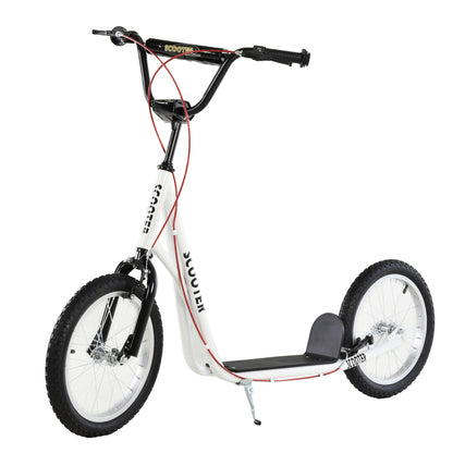 Kids Kick Scooter for 5 Plus Years