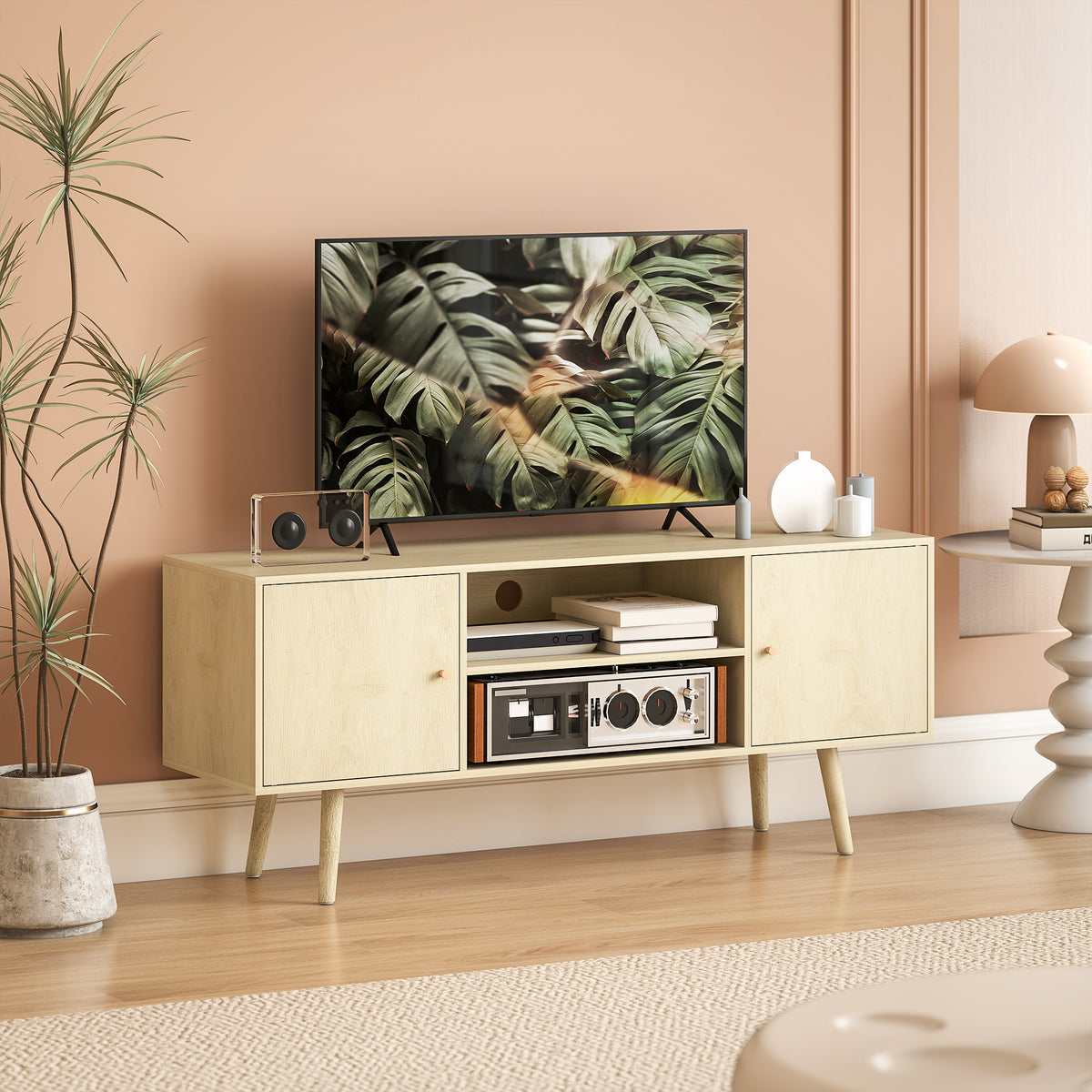 TV stand cabinet with storage shelves
