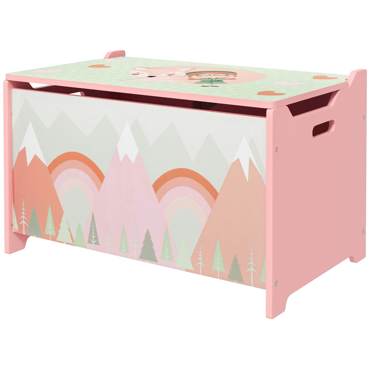 Kids Toy Box with Lid and Safety Hinges