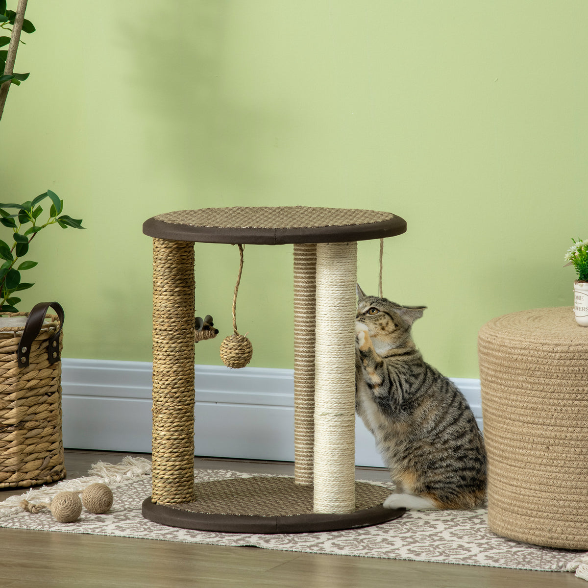 Árbol para gatos compacto con juguetes colgantes