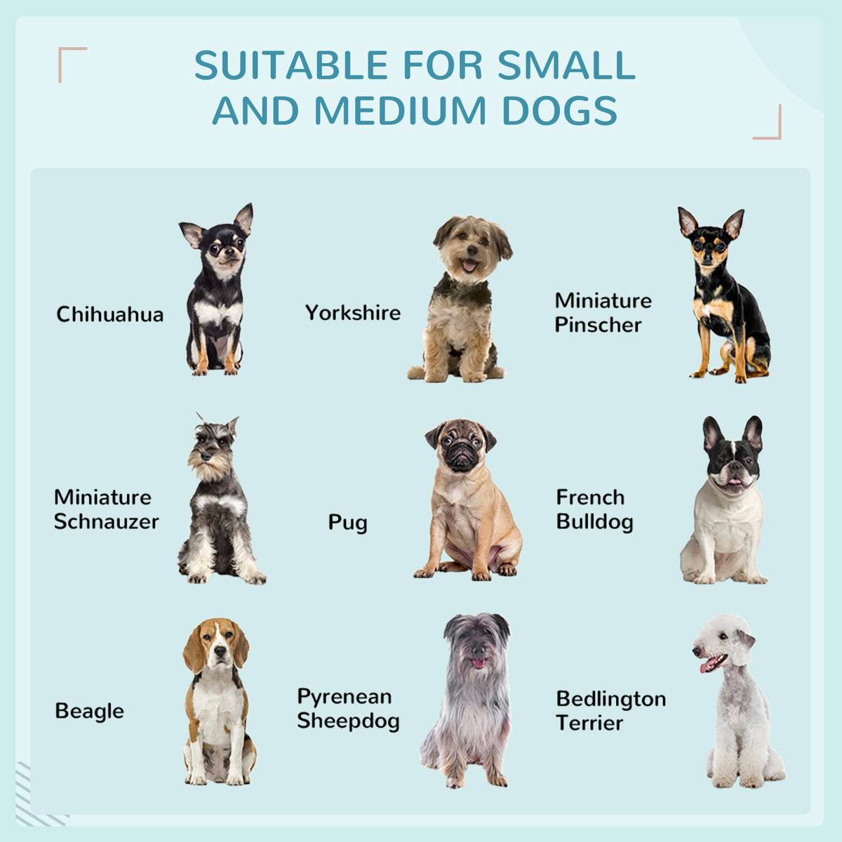 Elevated Dog House with Canopy for Medium Dogs