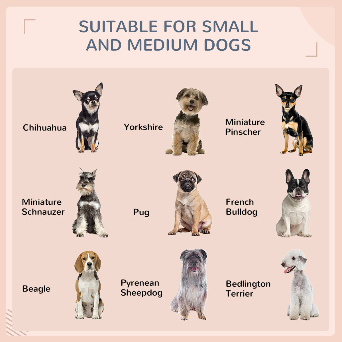 Elevated Dog House with Canopy for Medium Dogs