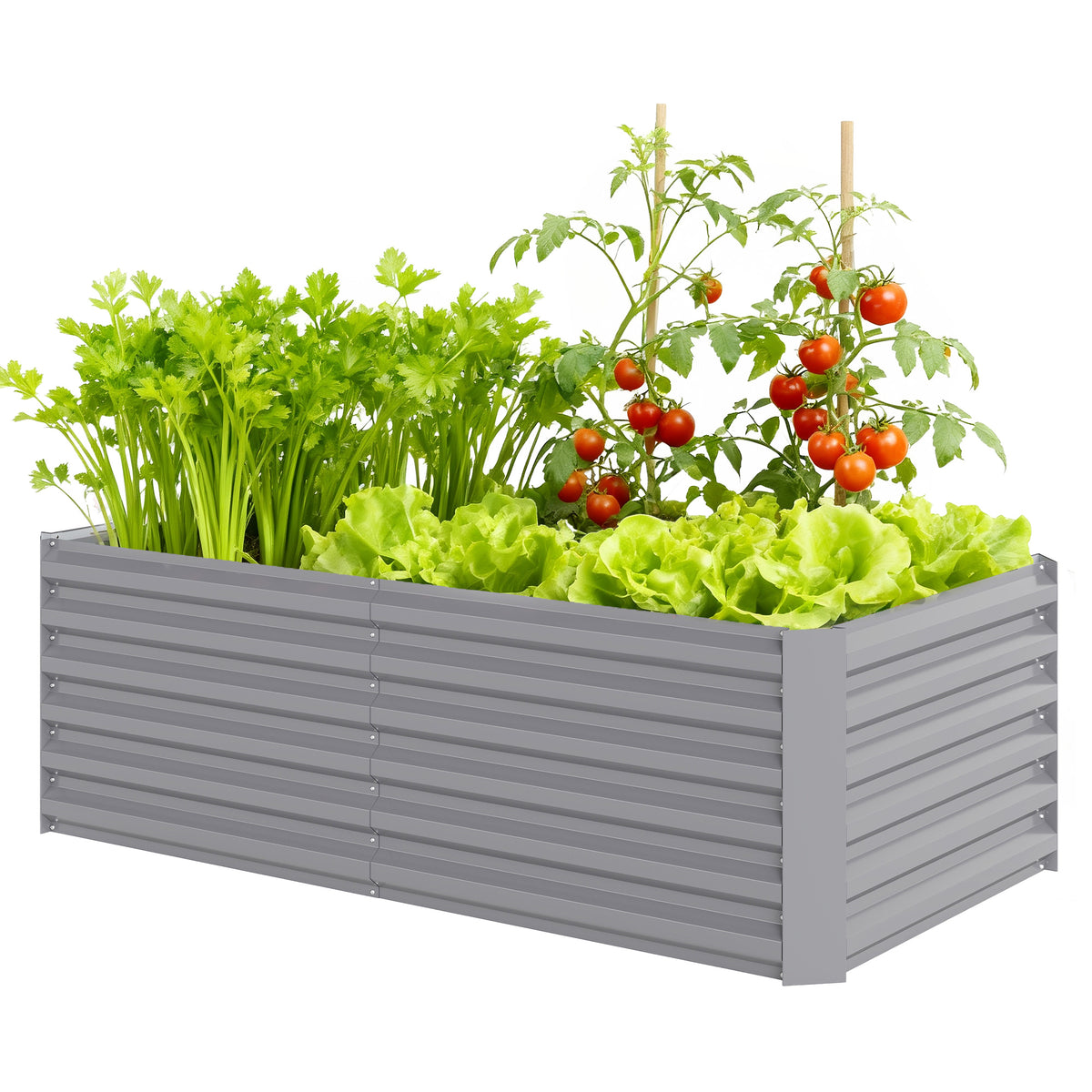 Raised Garden Bed Galvanized Metal 6' × 3'