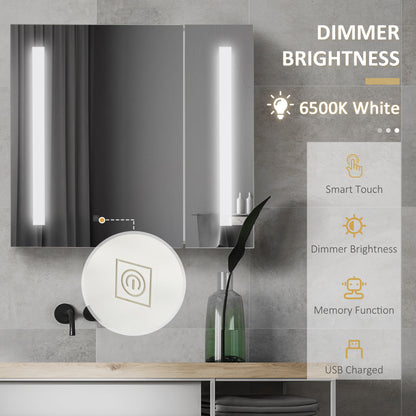 LED Medicine Cabinet with Mirror