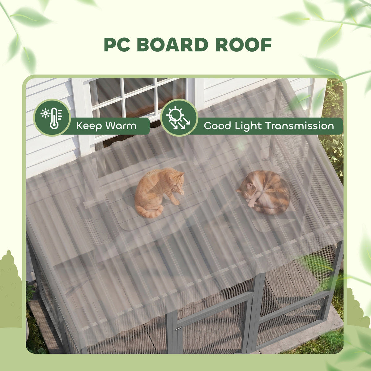 Multi-level outdoor cat enclosure with transparent roof