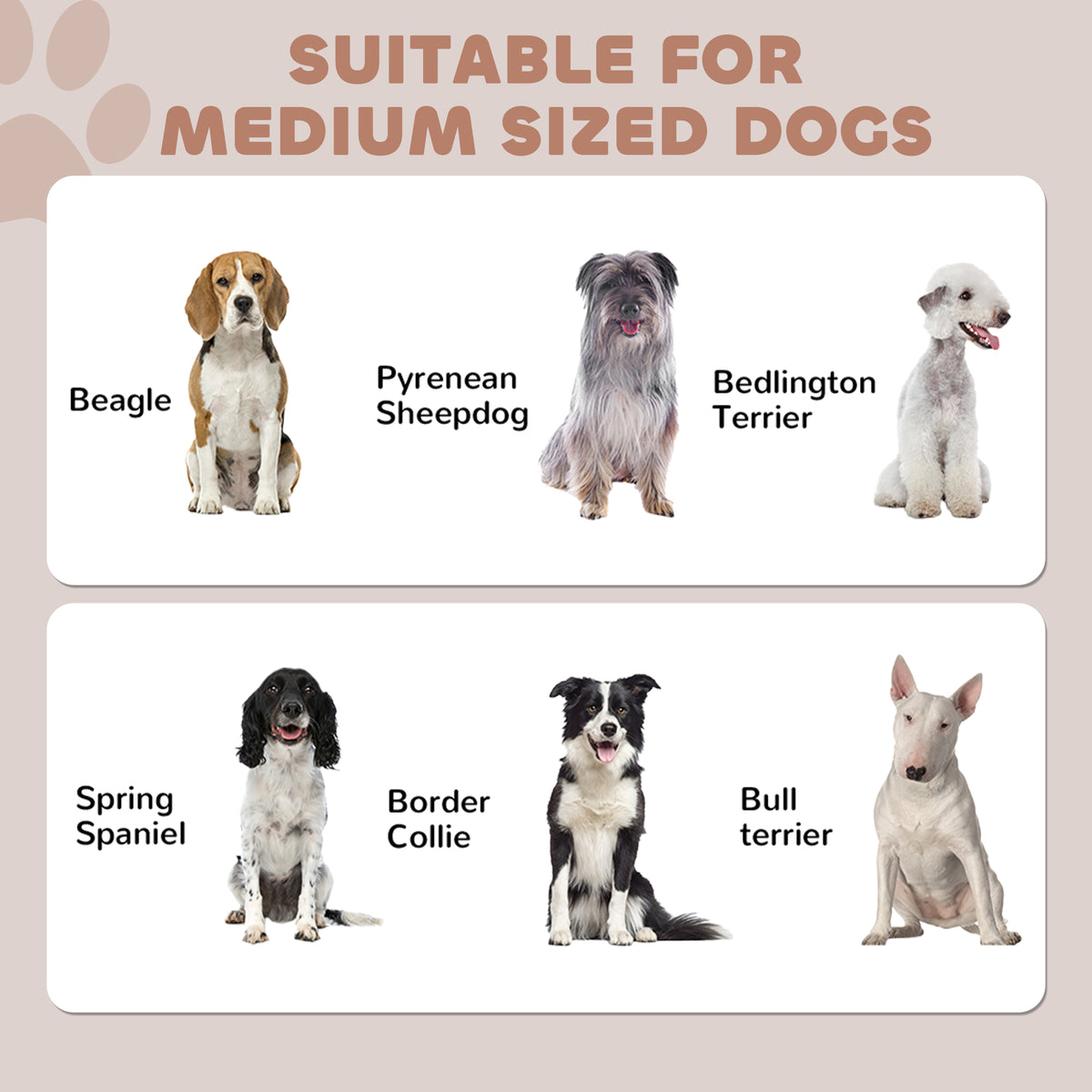 Dog Feeding Station with Adjustable Storage