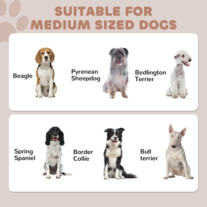 Dog Feeding Station with Adjustable Storage