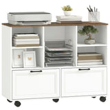 Lateral Mobile Filing Cabinet with Two Drawers