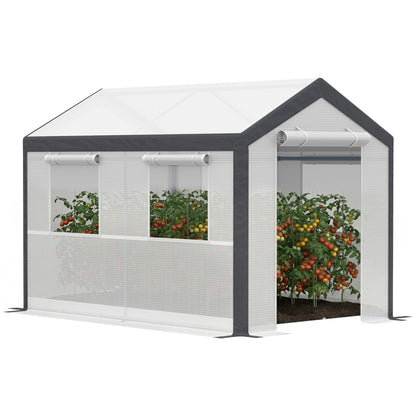 2x3m Heavy Duty Walk-in Greenhouse with Steel Frame