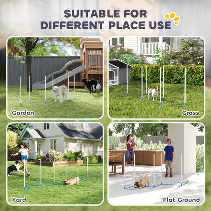 Conjunto de obstáculos de agilidad para perros con estacas
