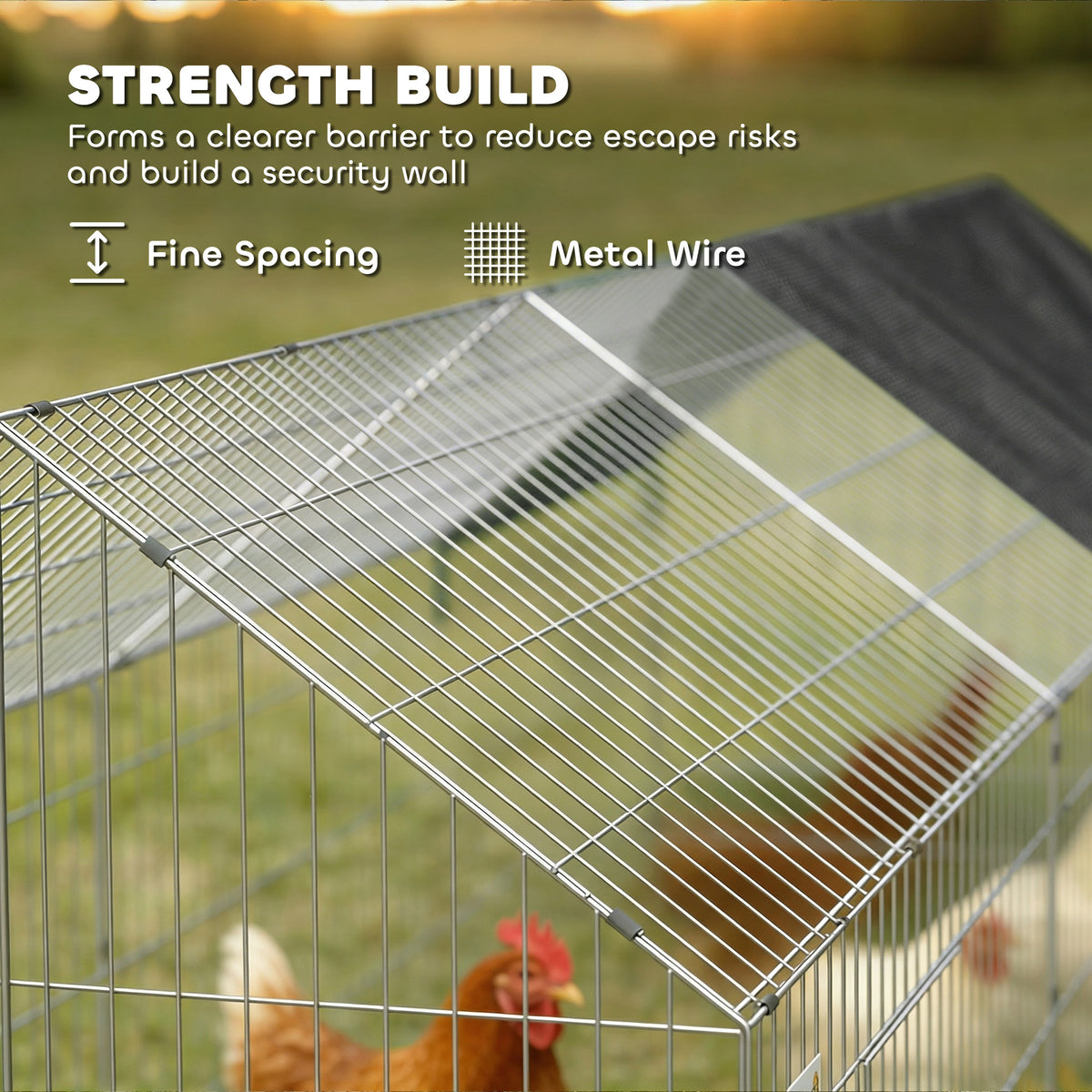 Metal Chicken Run with UV-Resistant Cover