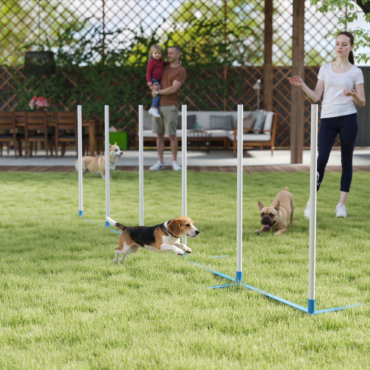 Conjunto de obstáculos de agilidad para perros con estacas