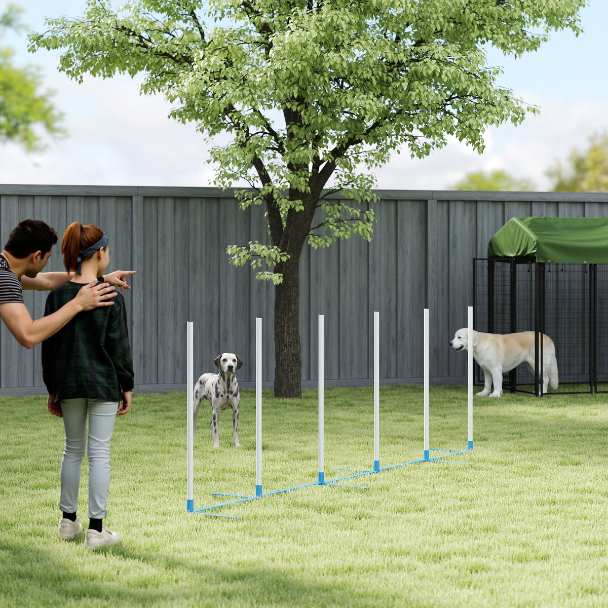 Conjunto de obstáculos de agilidad para perros con estacas