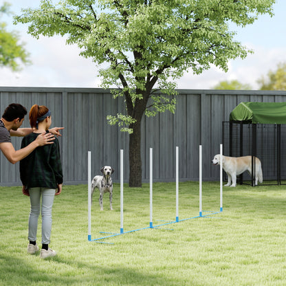 Conjunto de obstáculos de agilidad para perros con estacas