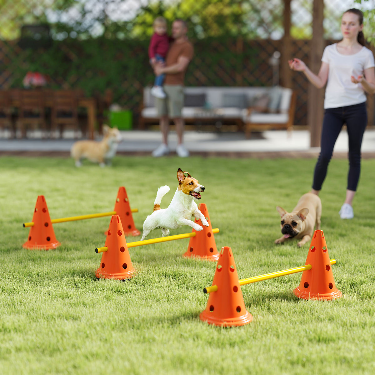 Set de agilidad para perros con conos y postes ajustables