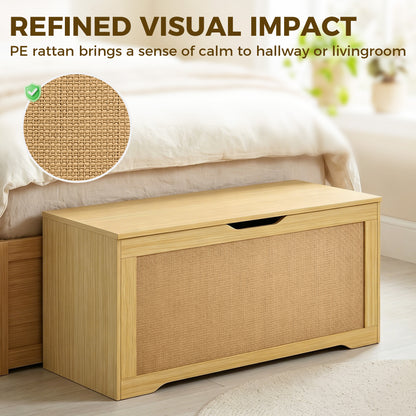 Storage Chest with Safety Hinges