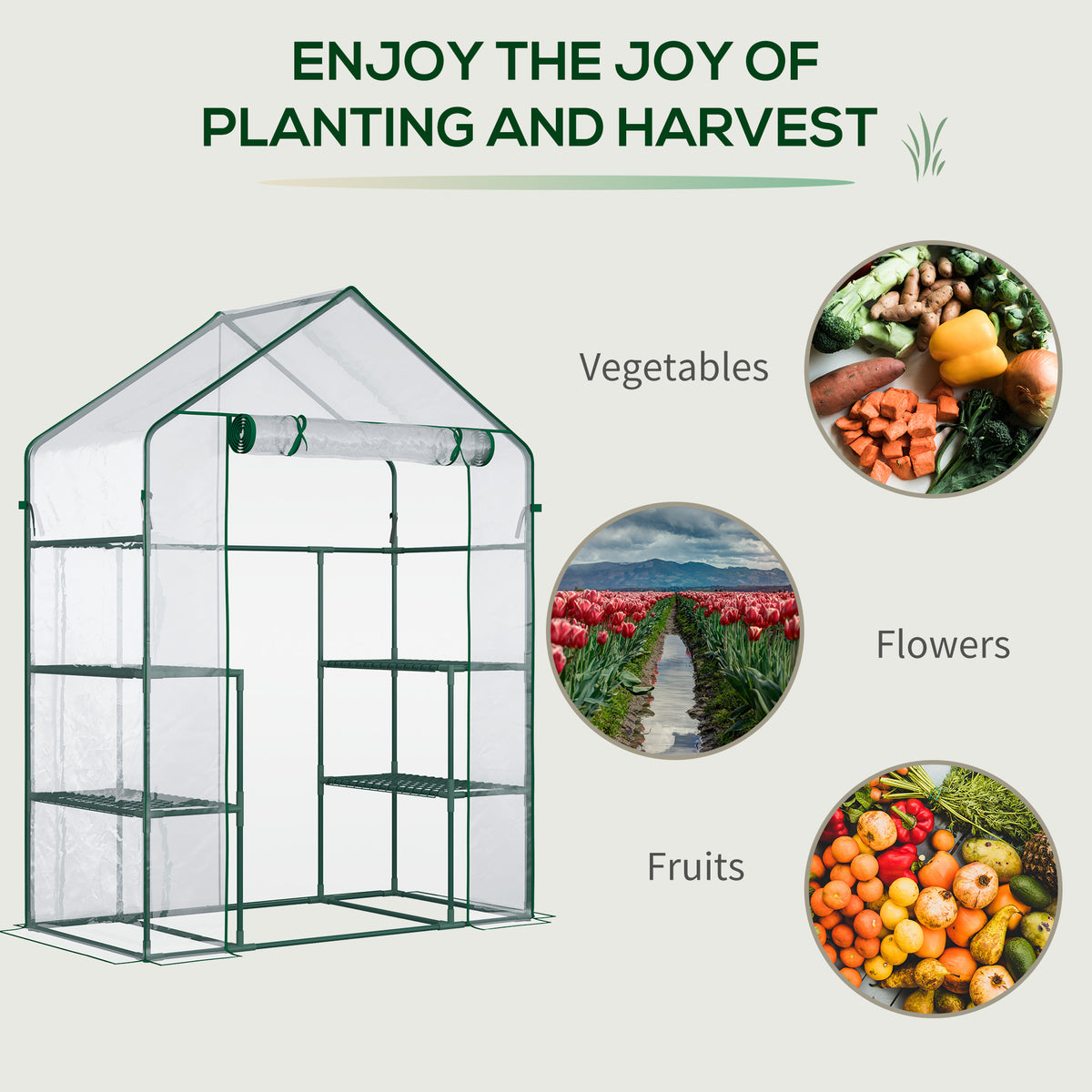 Walk-in Garden Greenhouse 4 Shelves Roll-Up Door