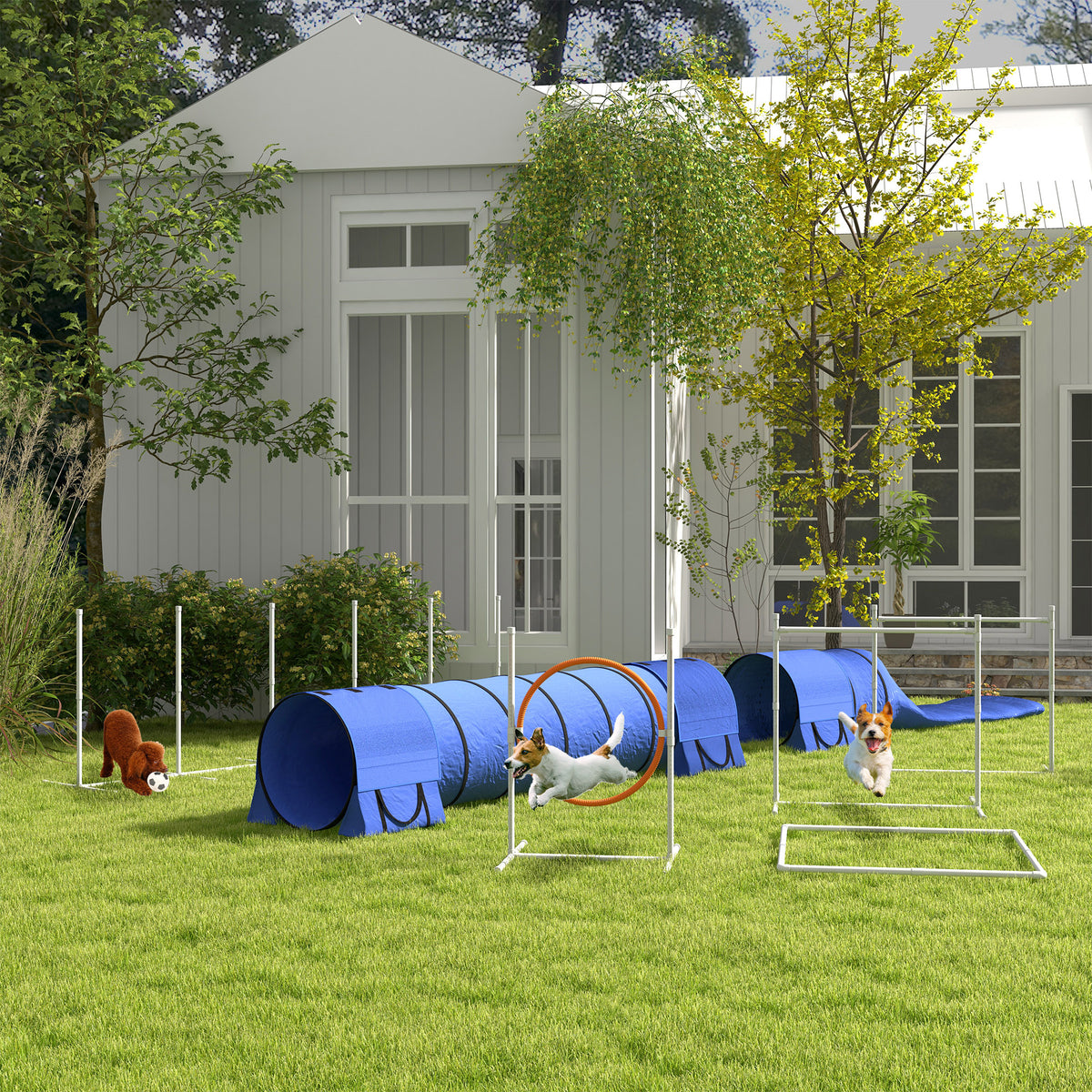 Dog Agility Kit 7 Pieces with Tunnels