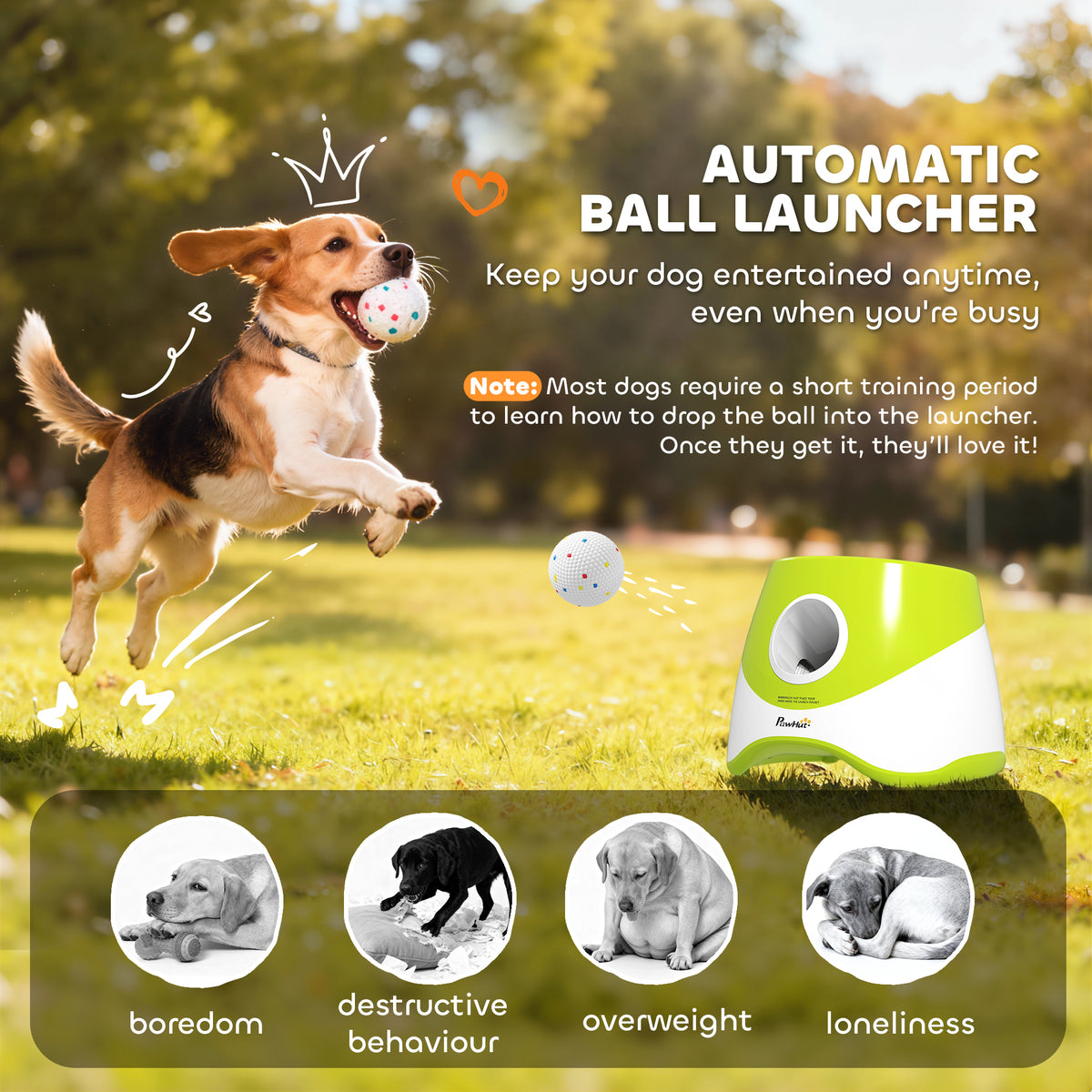 Automatic Dog Ball Launcher with 5 Balls