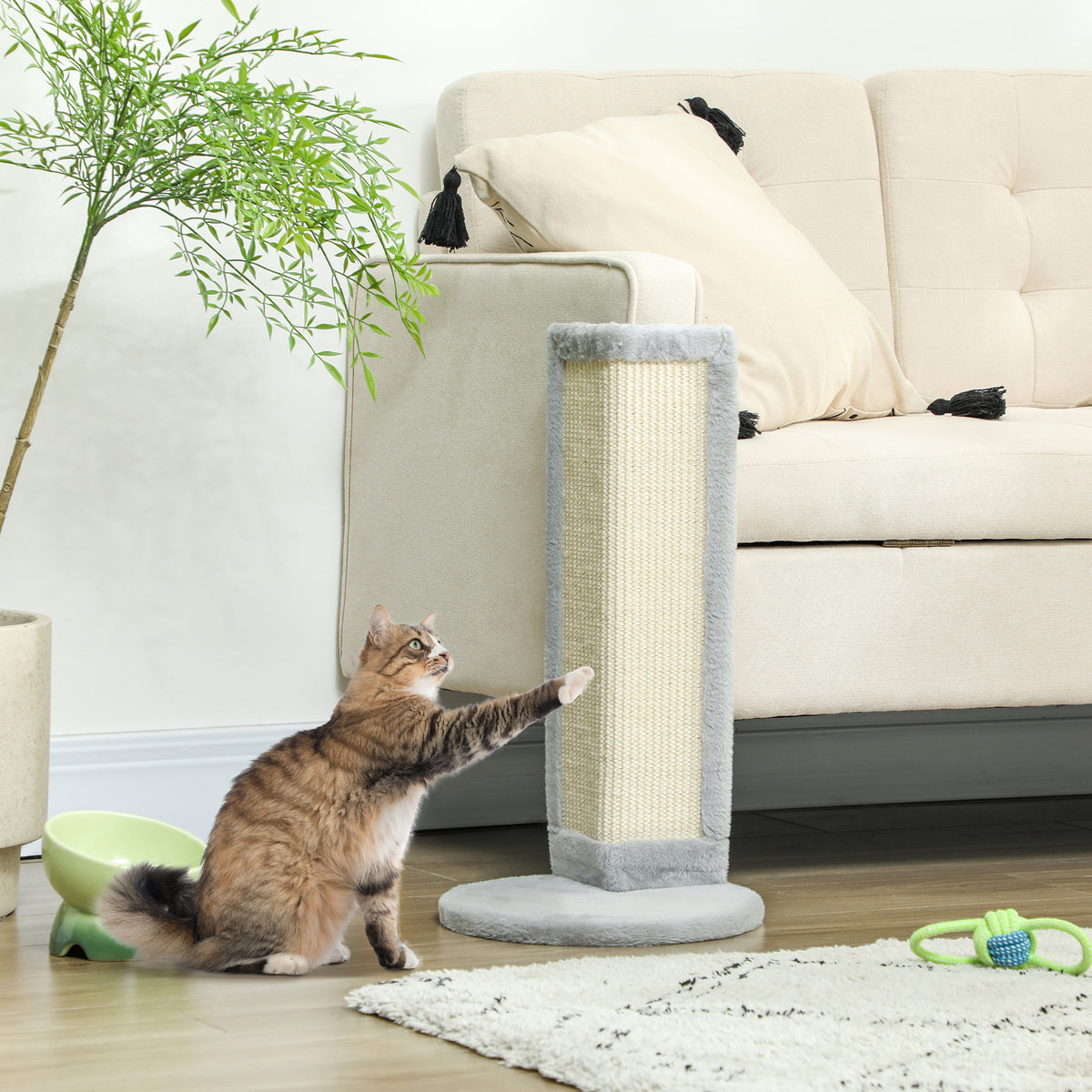 Cat Scratching Post for Indoor Cats 22 in
