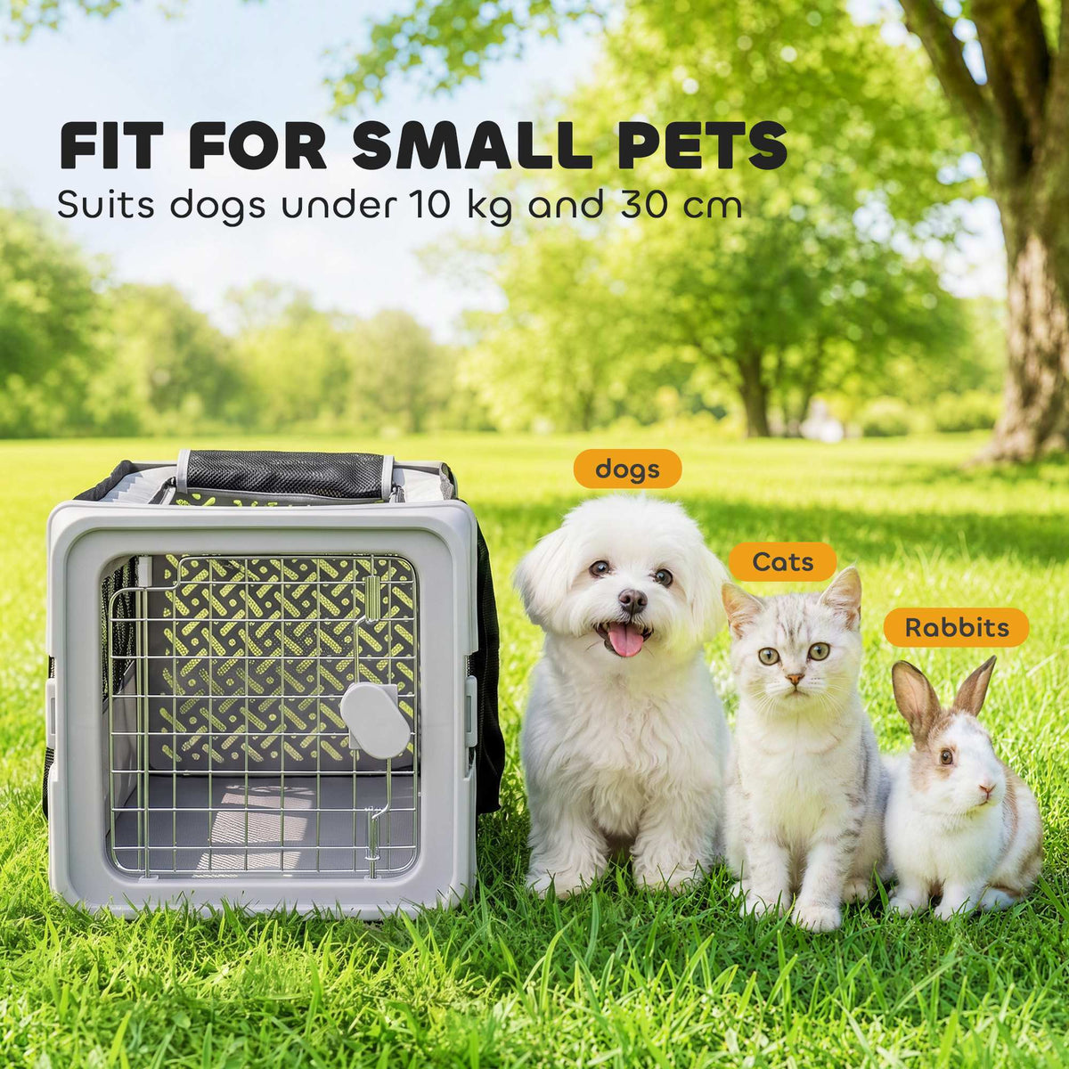 Soft-sided foldable small pet carrier bag