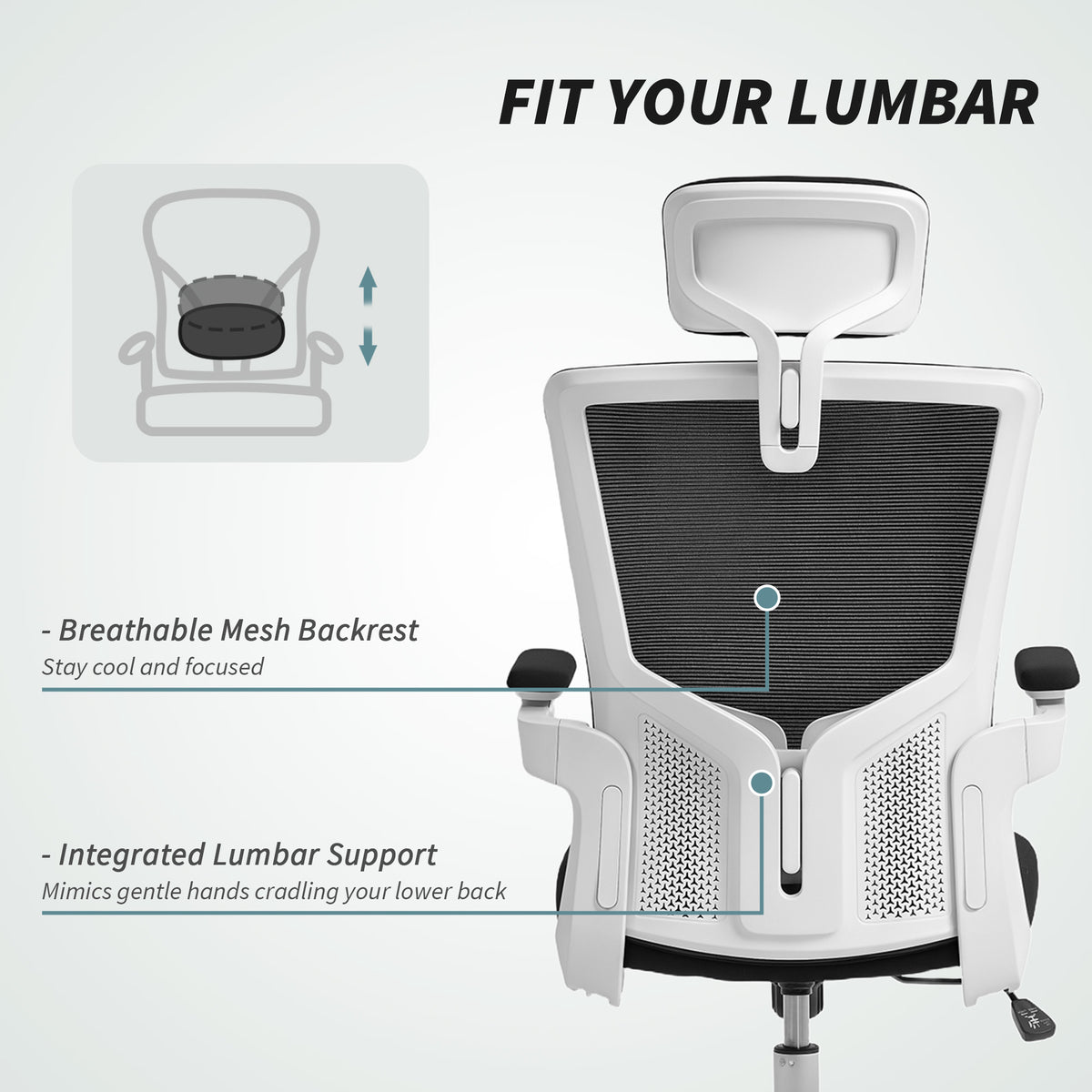 Ergonomic office chair with adjustable lumbar support