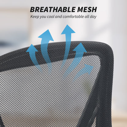 Ergonomic Office Chair Lumbar Support