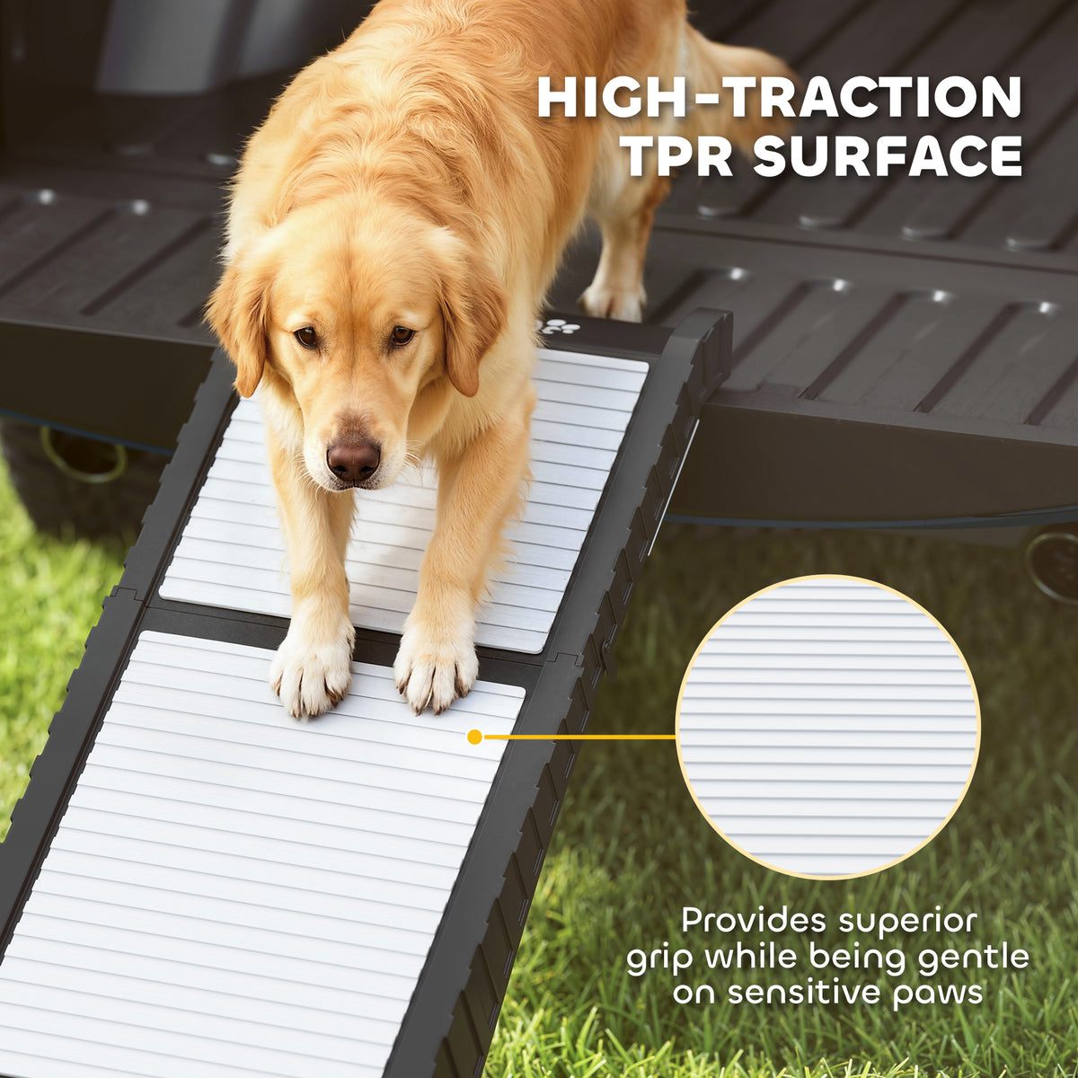 Rampa plegable para perros para coche