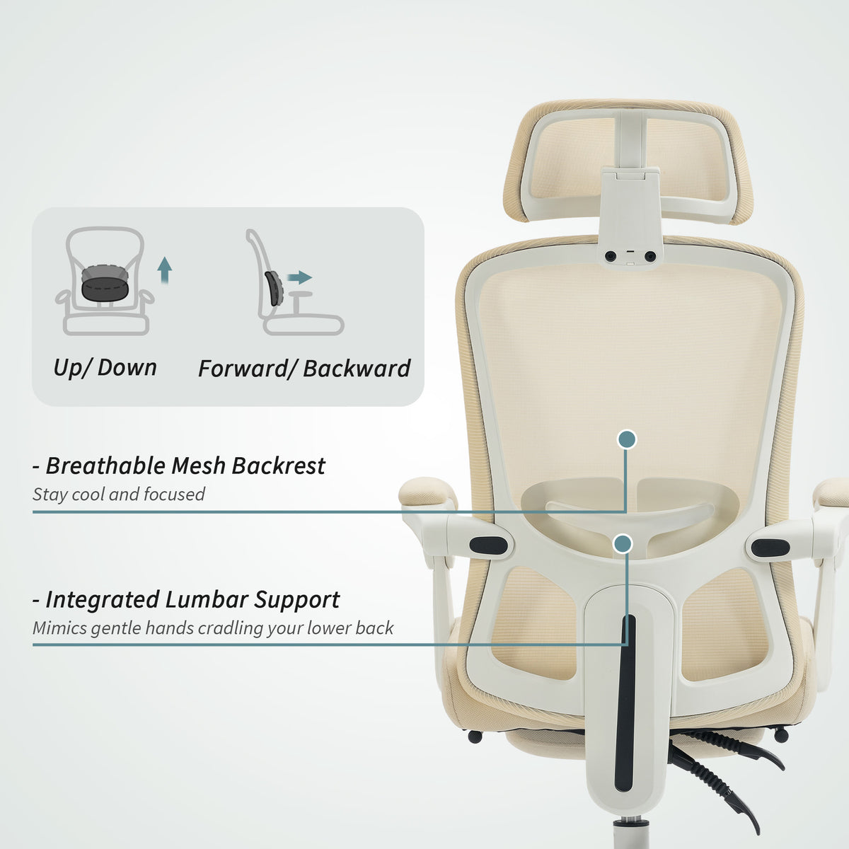 Ergonomic office chair with adjustable lumbar support and headrest