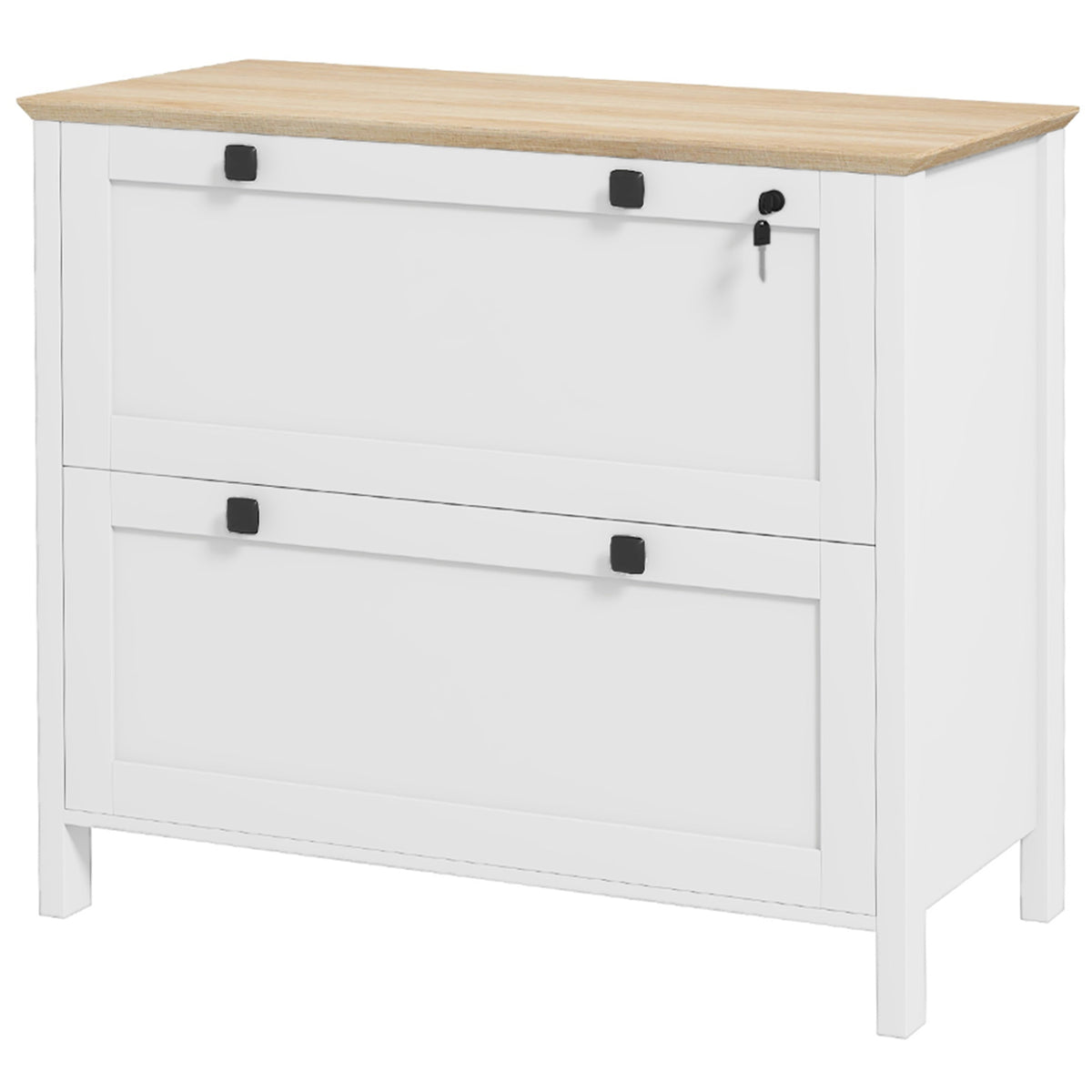 File Cabinet 2 Drawer Lockable with Adjustable Bar