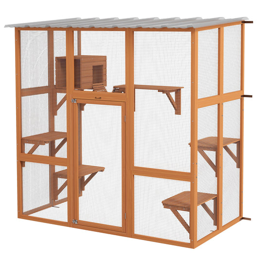 Multi-level outdoor cat enclosure with transparent roof