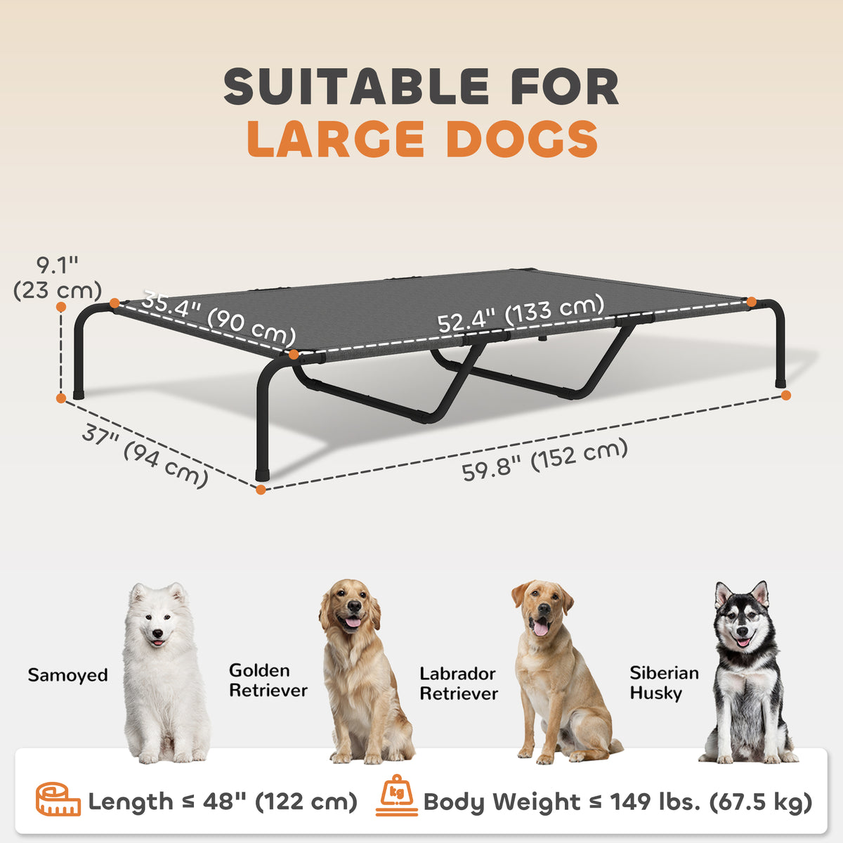 Elevated outdoor dog bed with breathable mesh