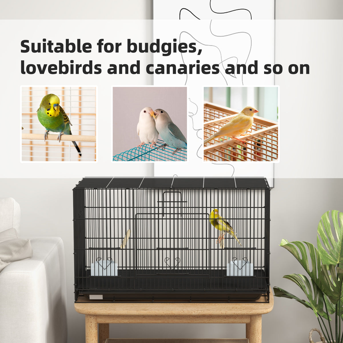 Large steel bird cage