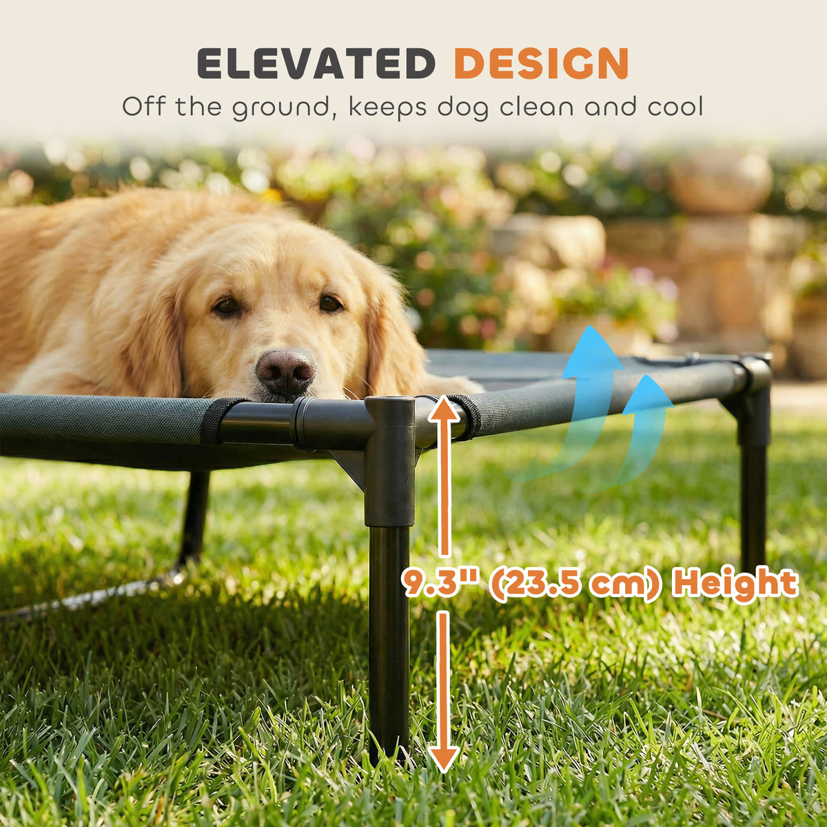 Elevated dog bed with canopy