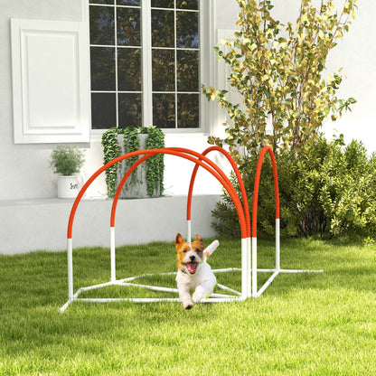 Dog Agility Training Equipment Set — Set of 4