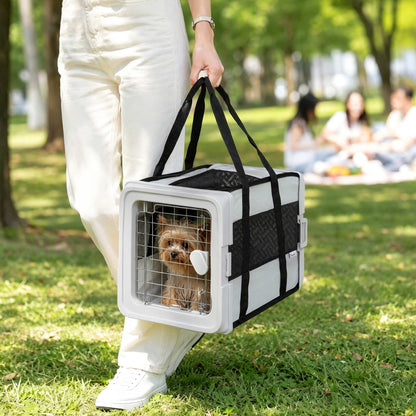 Soft-sided foldable small pet carrier bag