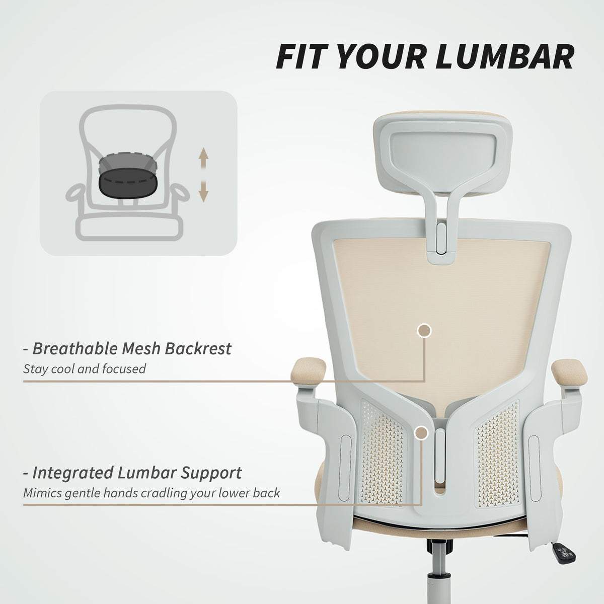 Ergonomic office chair with adjustable lumbar support
