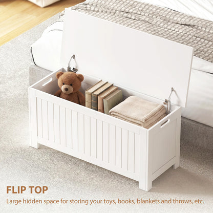 Storage trunk with lid and safety hinges