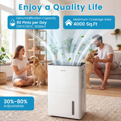 Déshumidificateur intelligent grand débit 370 L
